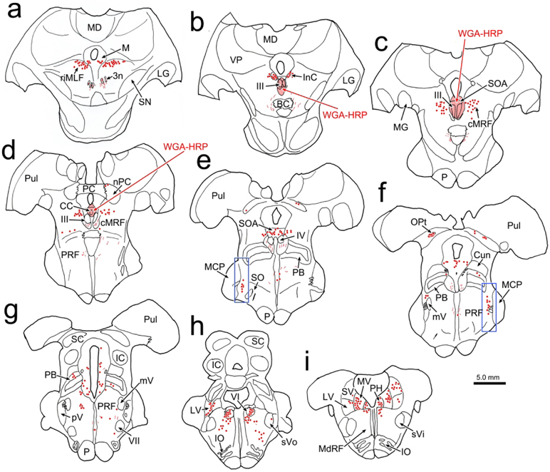 Figure 11.