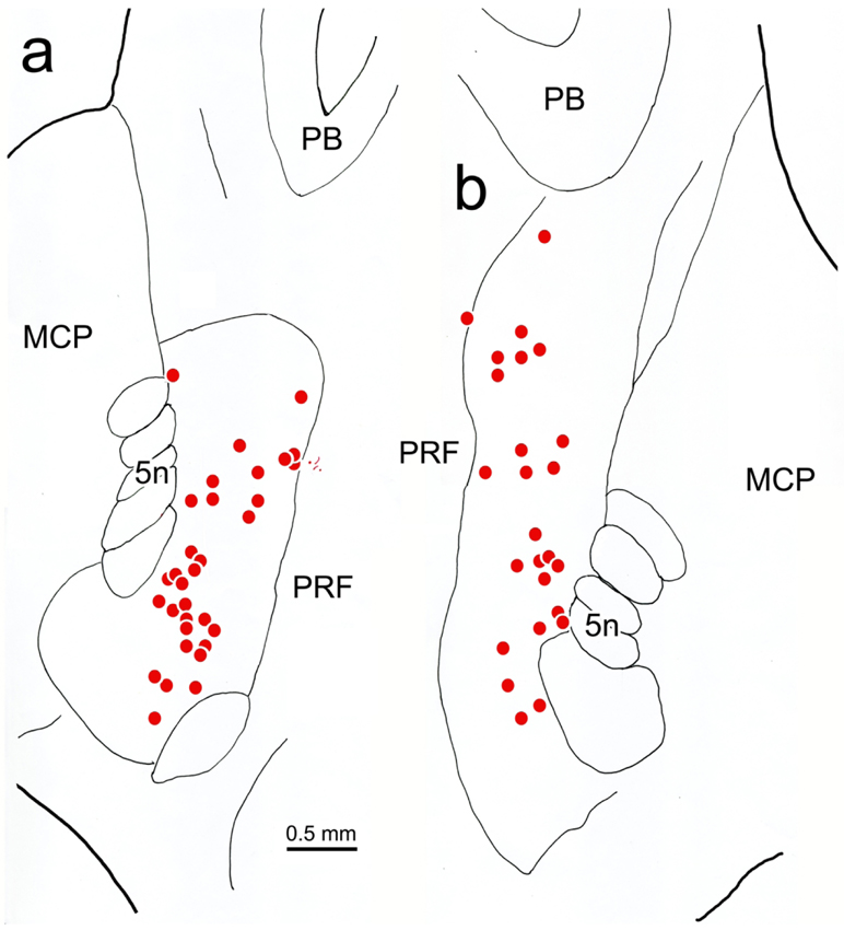 Figure 12.