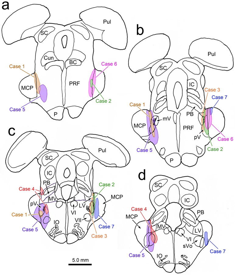 Figure 5.