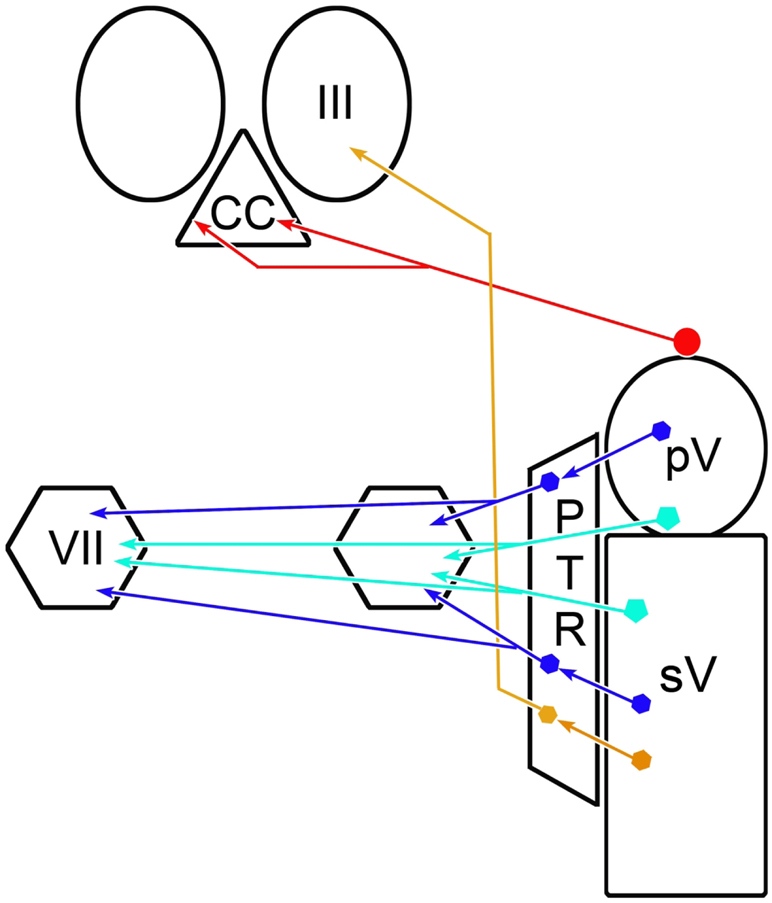 Figure 14.