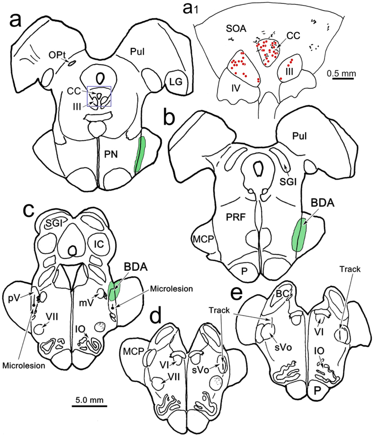 Figure 9.