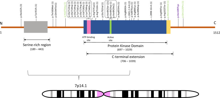 Fig. 3