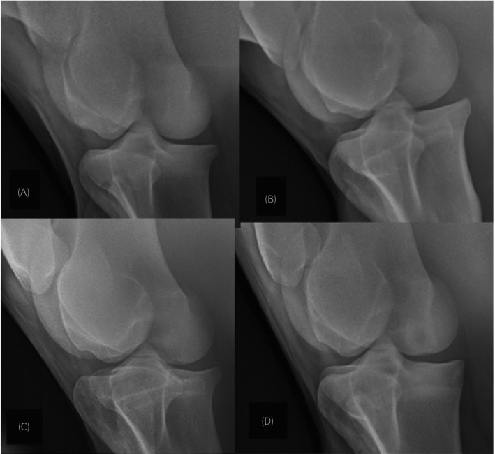 FIGURE 3
