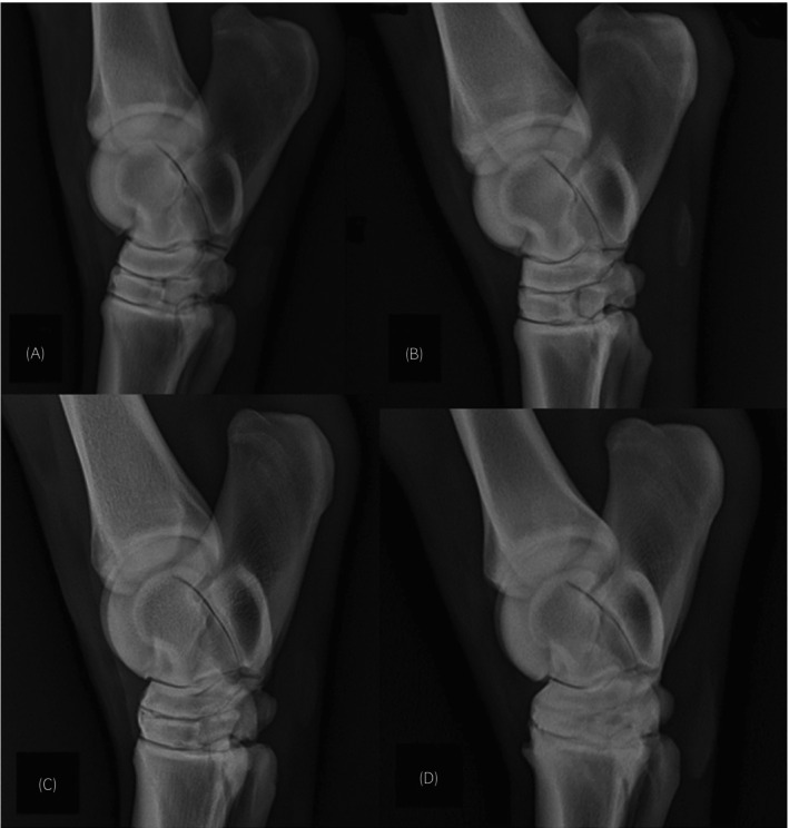 FIGURE 2