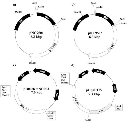 FIG. 1.