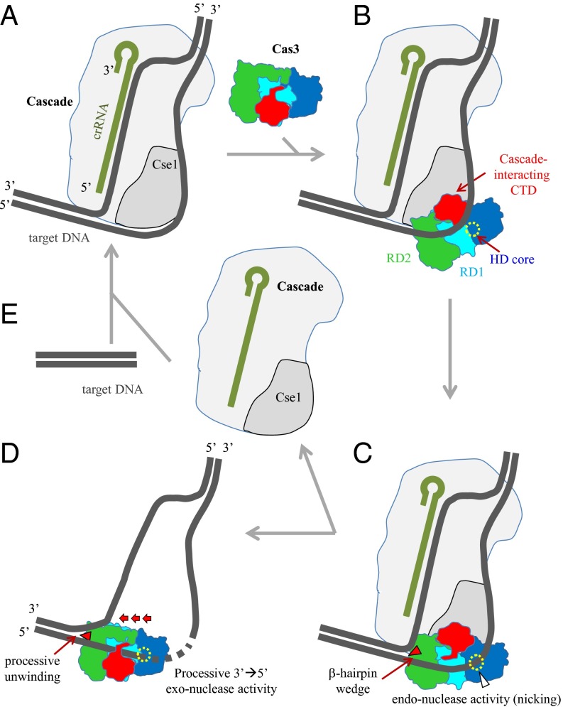 Fig. 4.