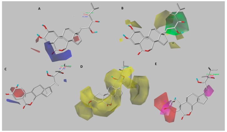 Figure 5