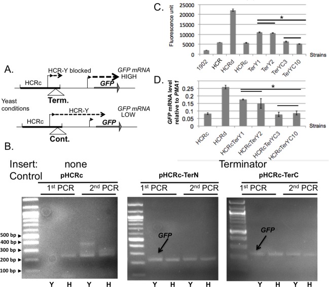 Fig 6