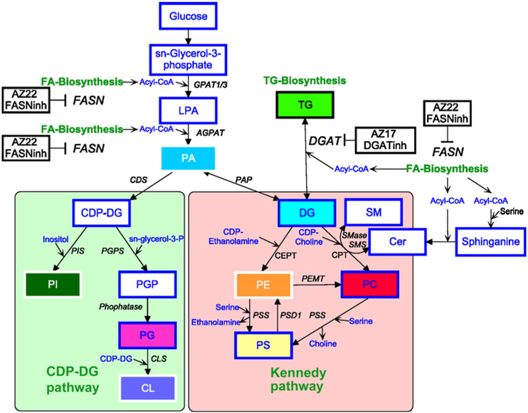 Figure 6.