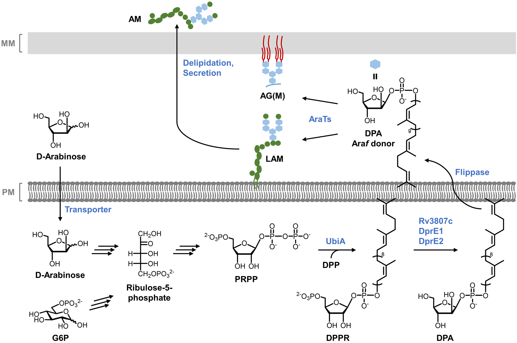 Figure 44.