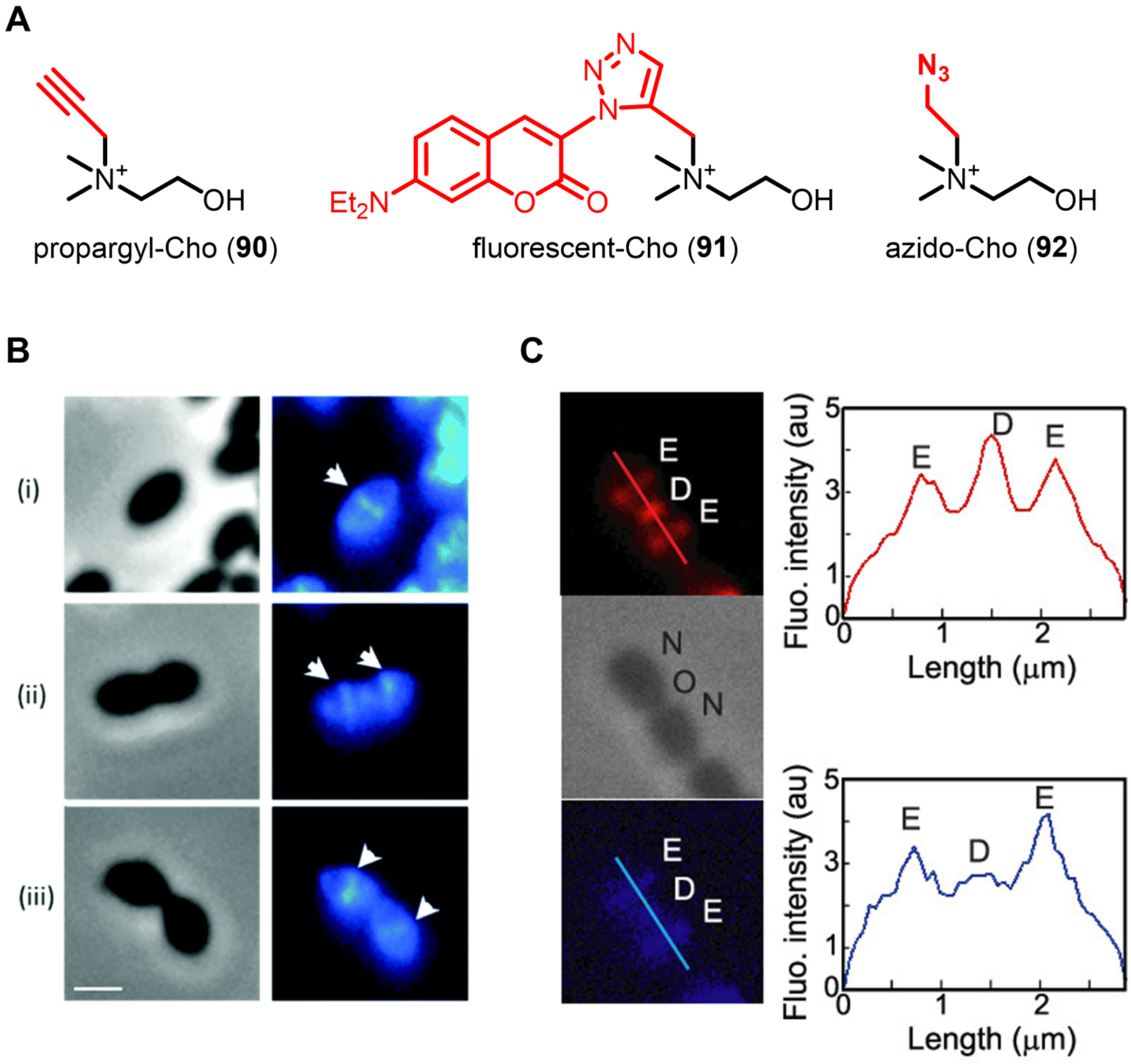 Figure 32.