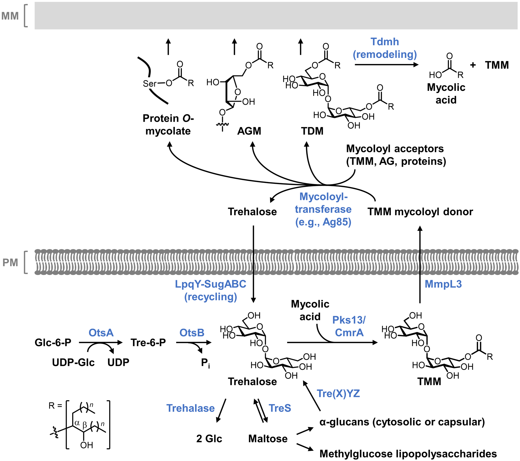 Figure 34.