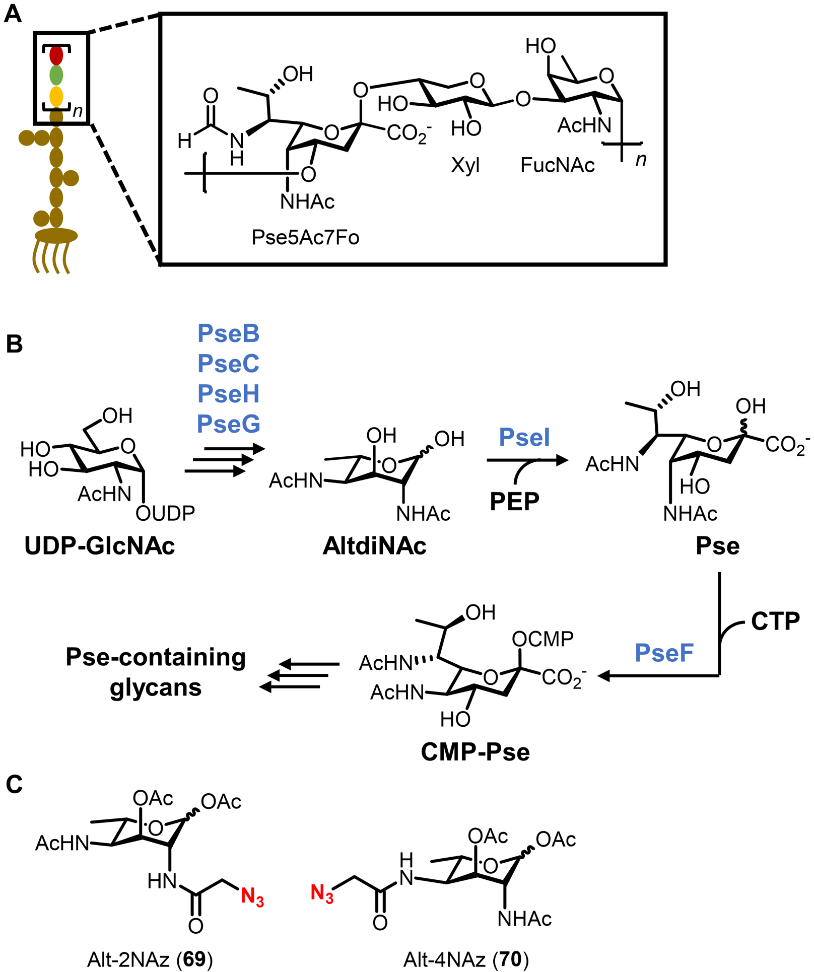 Figure 23.