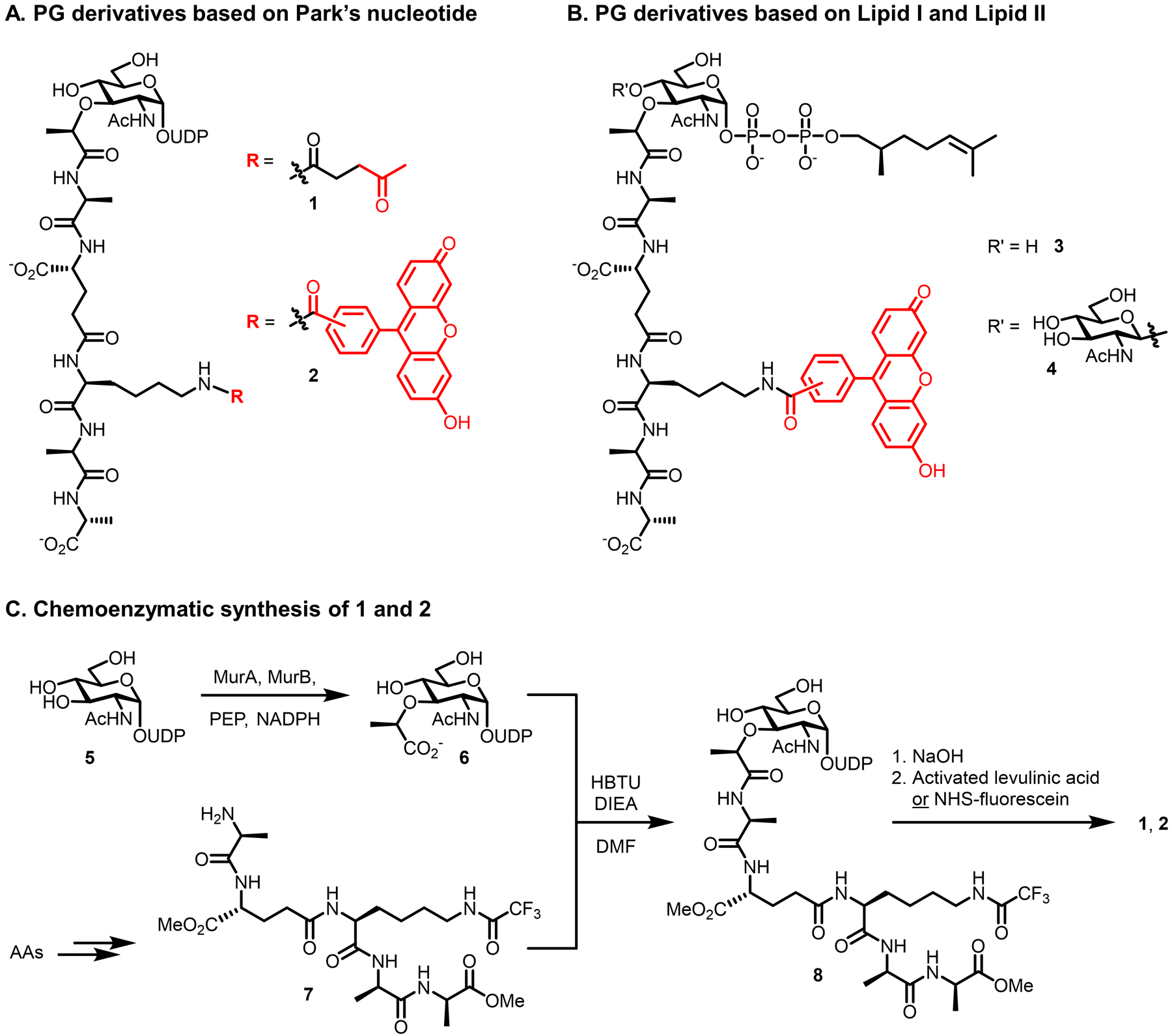 Figure 6.