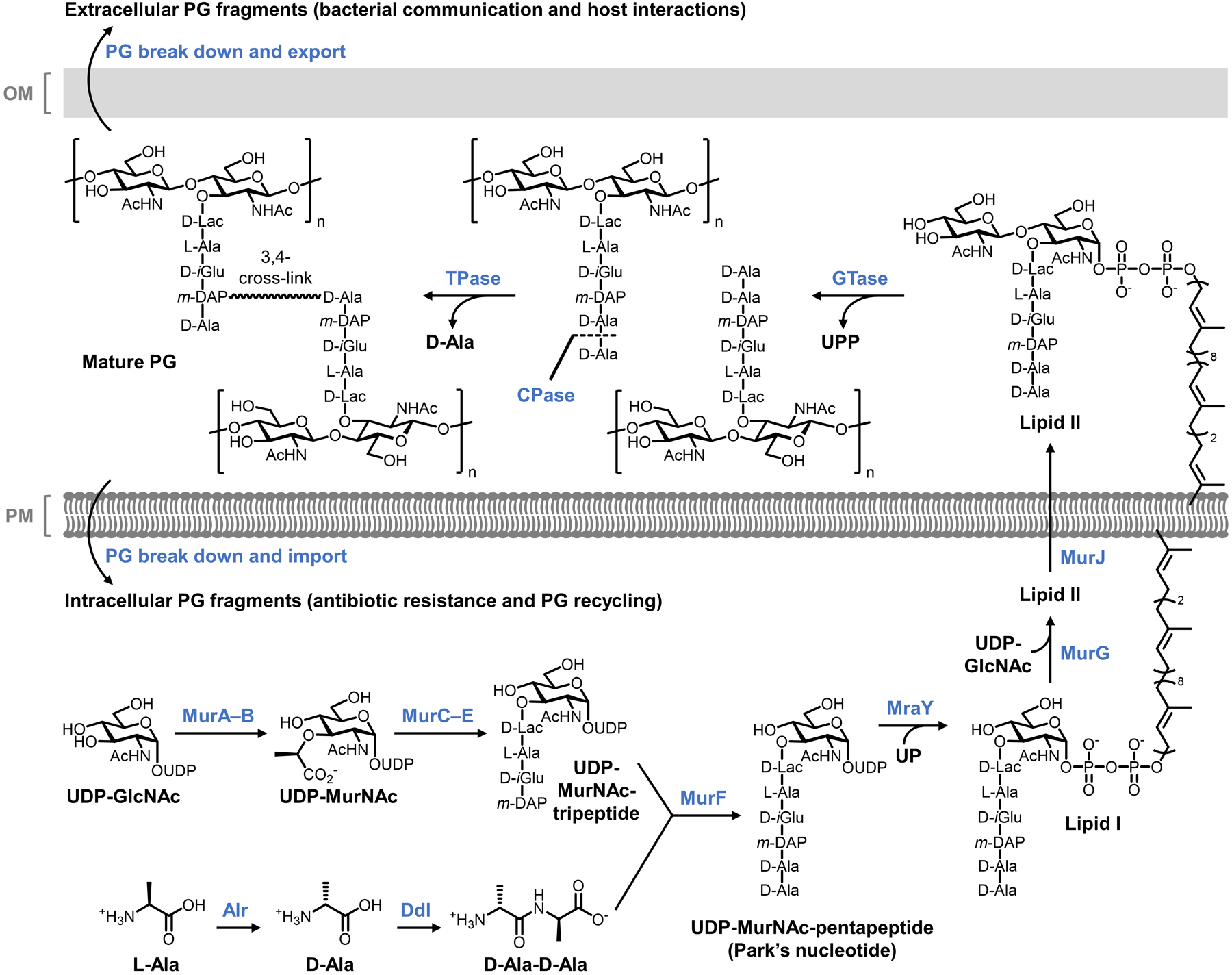 Figure 5.