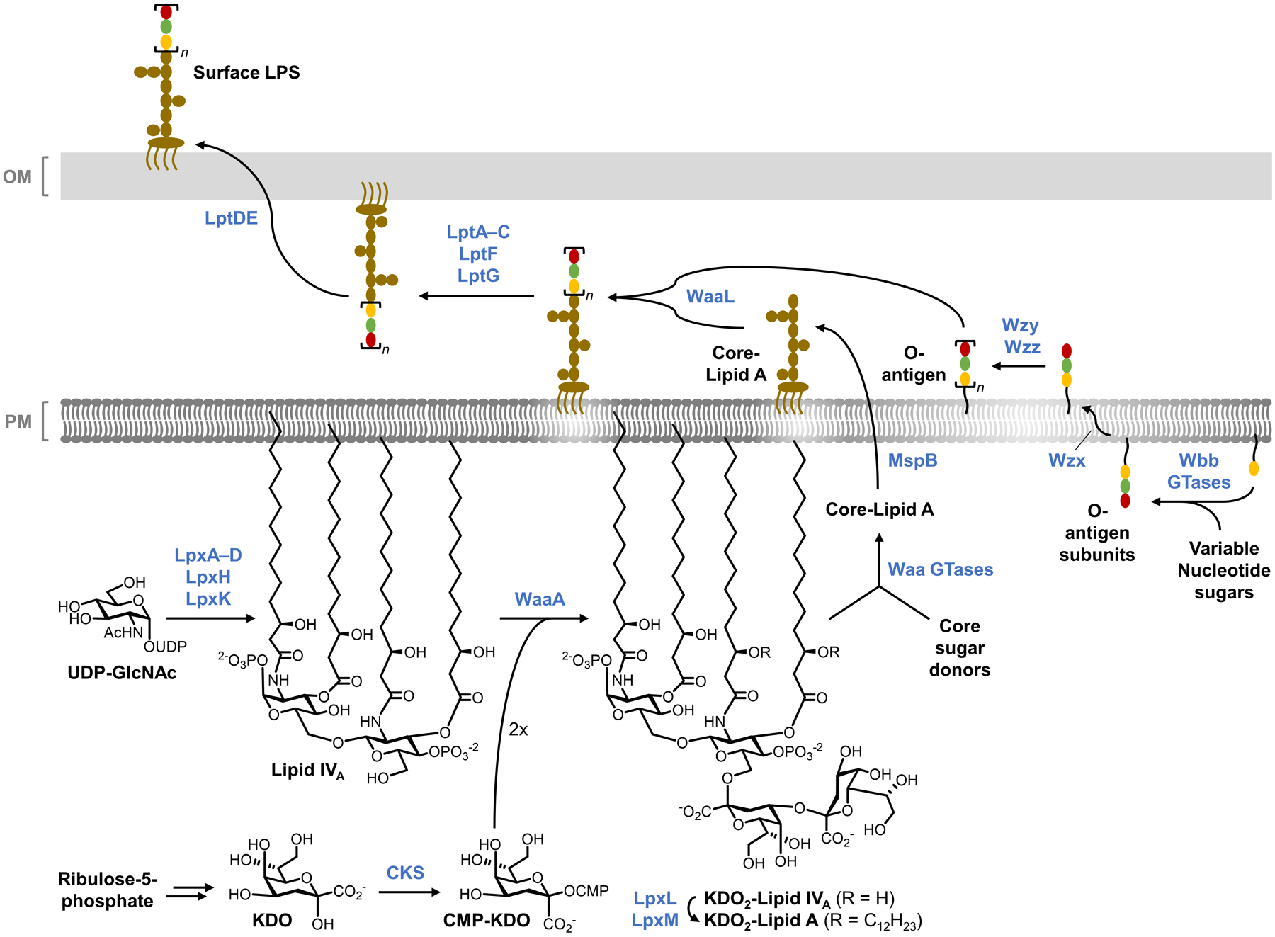 Figure 18.