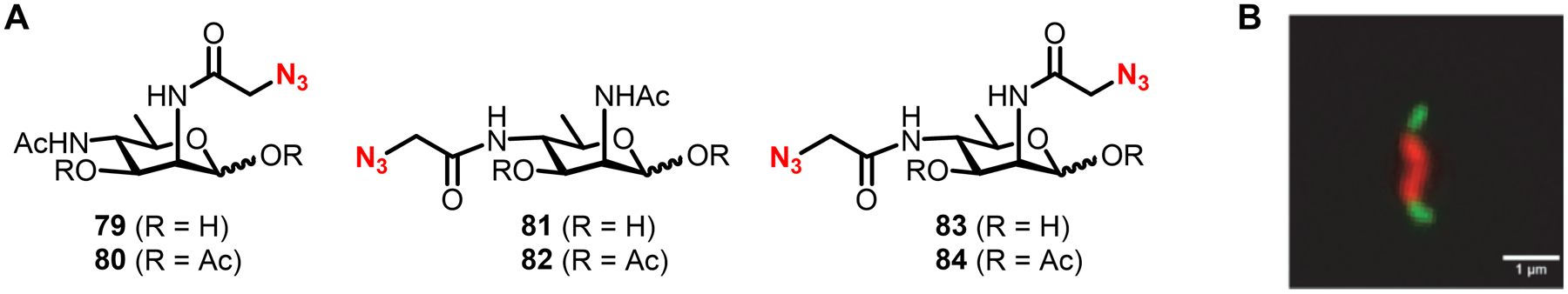 Figure 28.