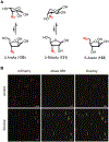 Figure 45.