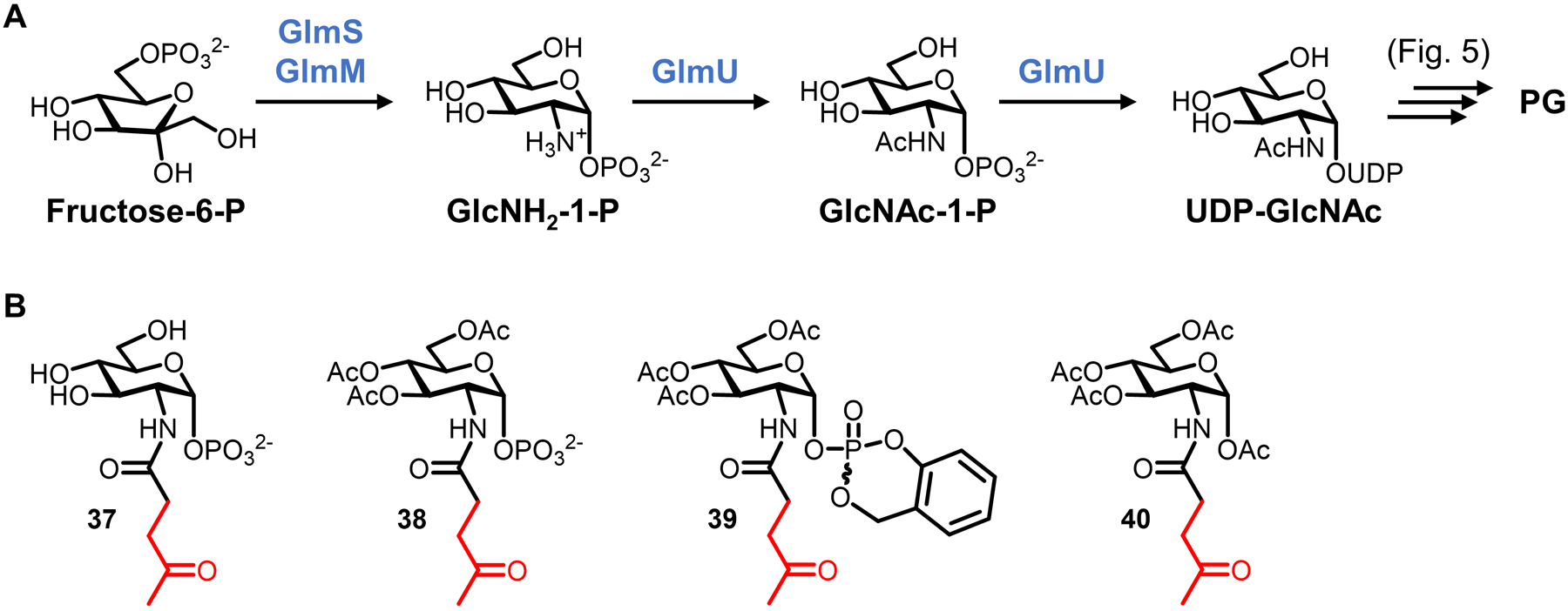 Figure 14.