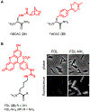 Figure 10.