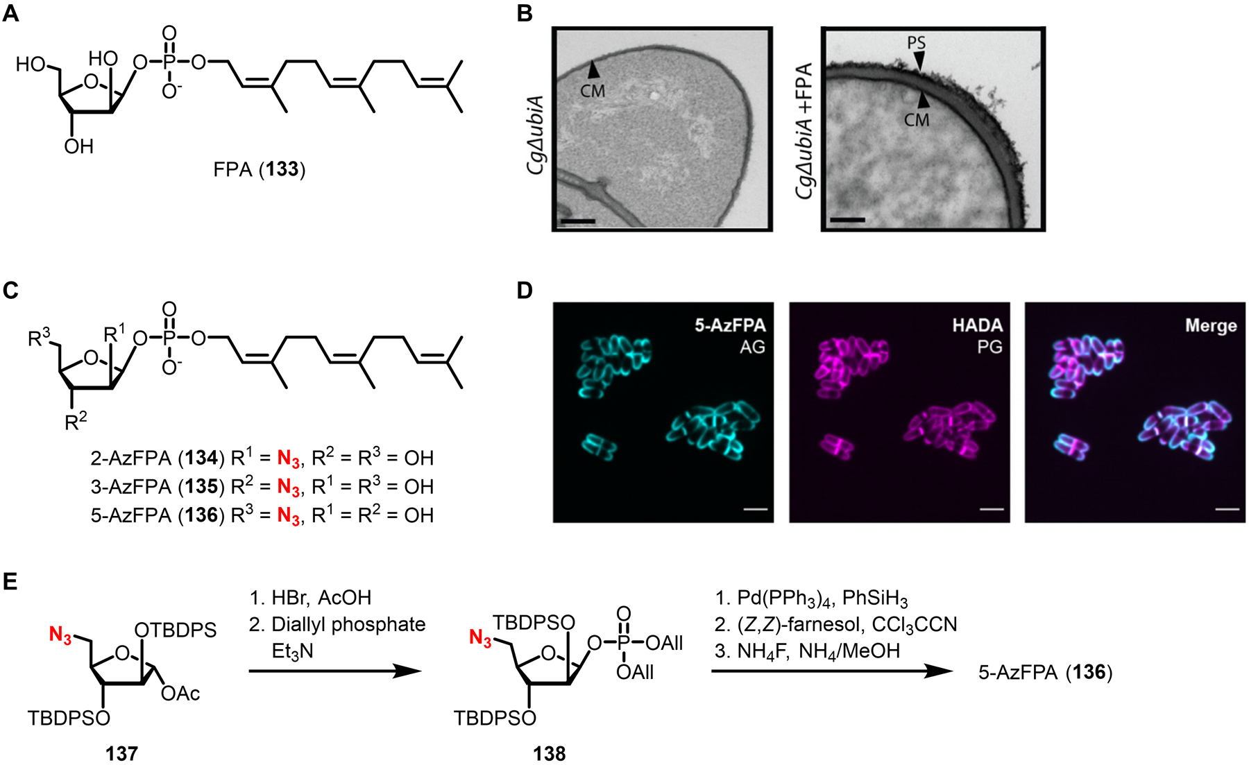 Figure 46.