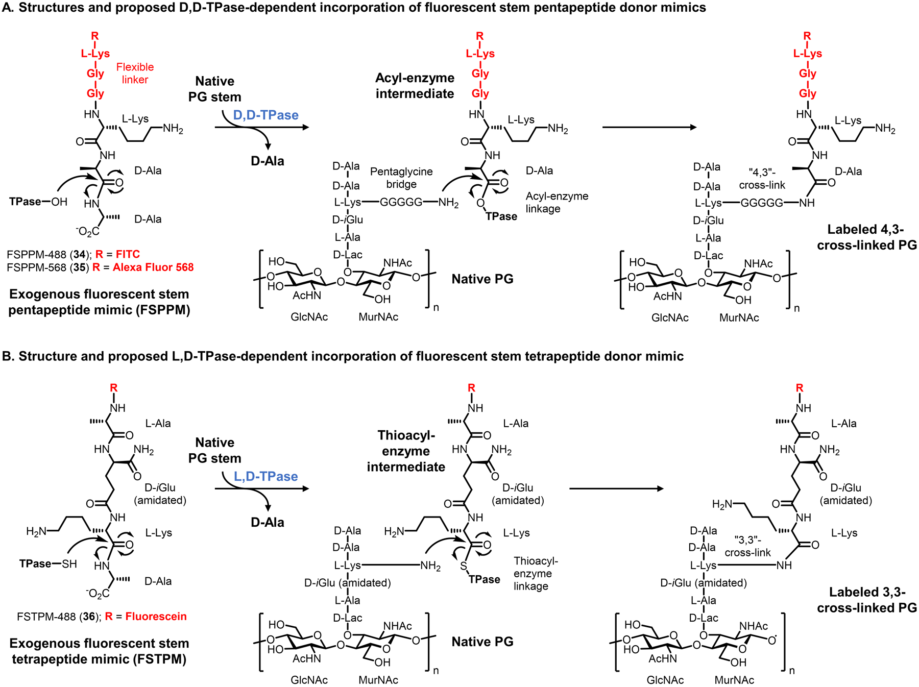 Figure 13.