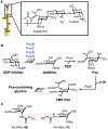 Figure 23.