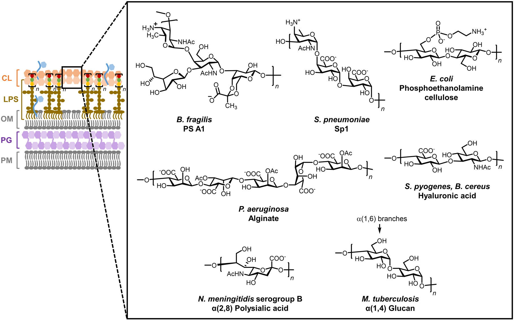 Figure 47.