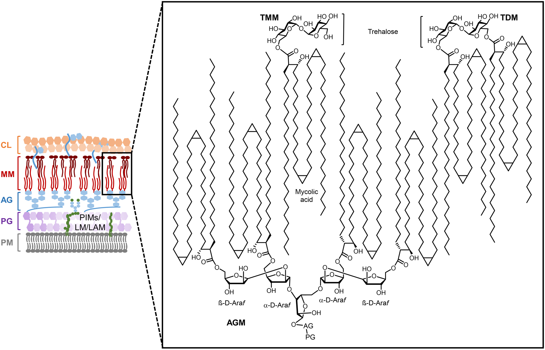 Figure 33.