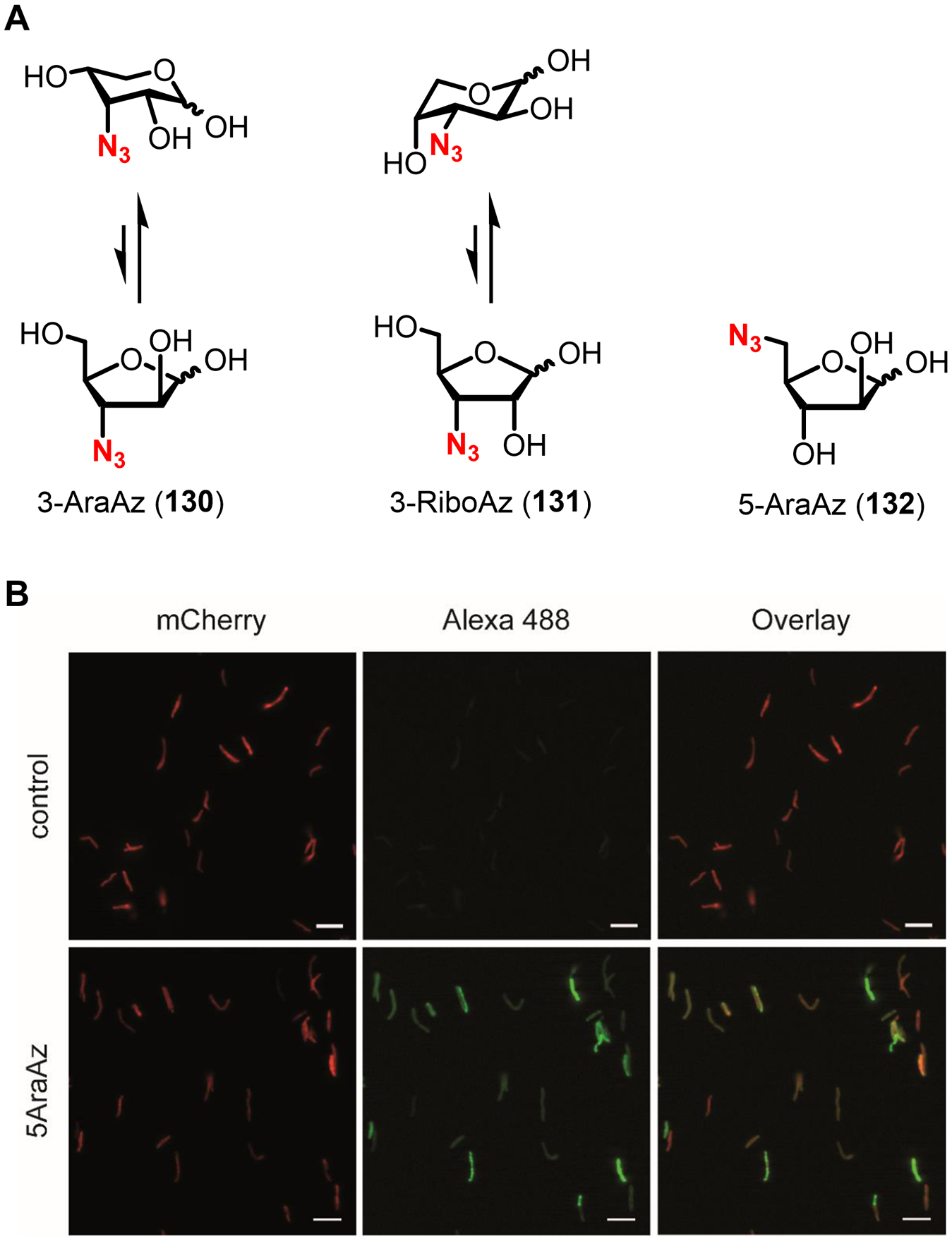 Figure 45.