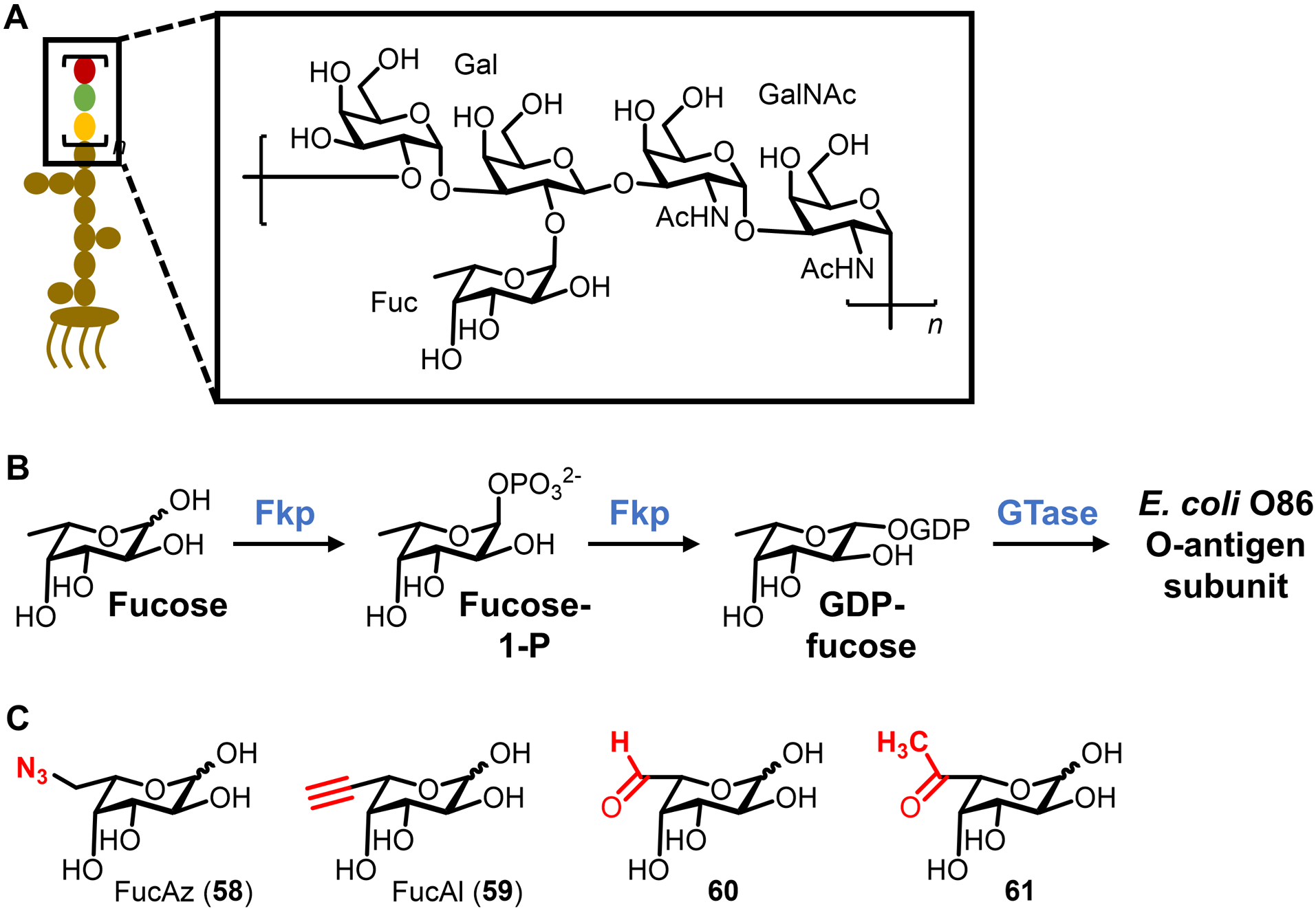 Figure 21.