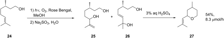 Scheme 9