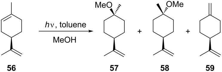 Scheme 18