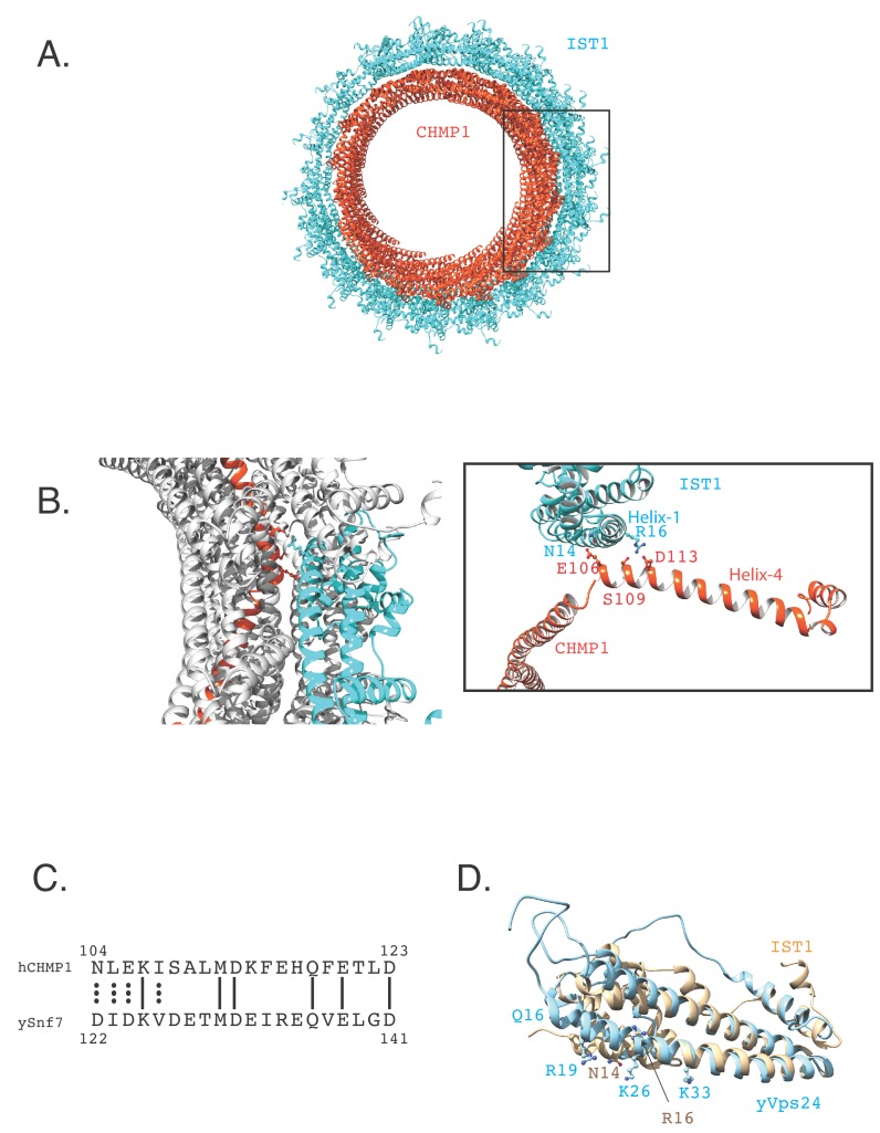 Figure 2—figure supplement 3.