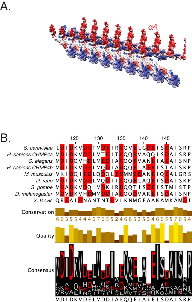 Figure 1—figure supplement 1.