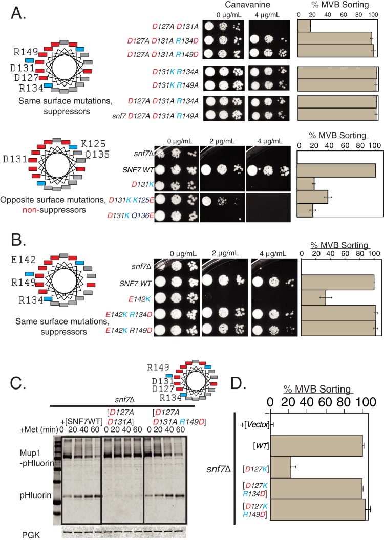 Figure 4—figure supplement 1.