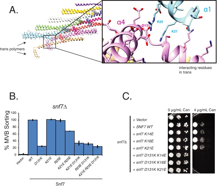 Figure 2—figure supplement 1.