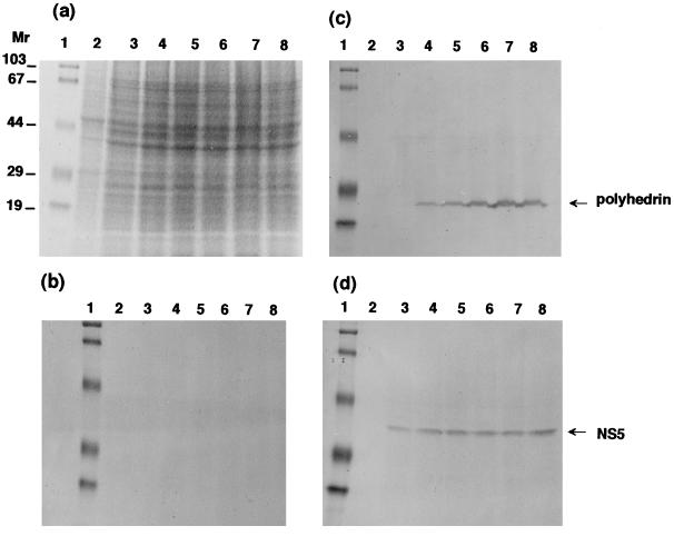 FIG. 6