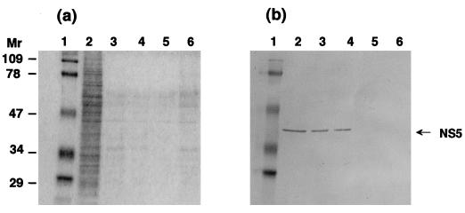 FIG. 8