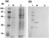 FIG. 5