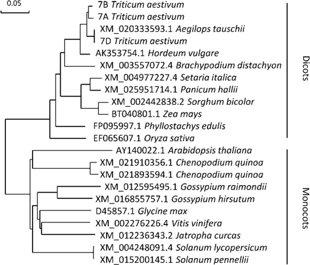 Figure 7