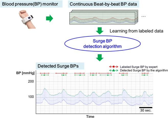 Graphical abstract