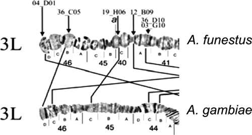 Figure 15.