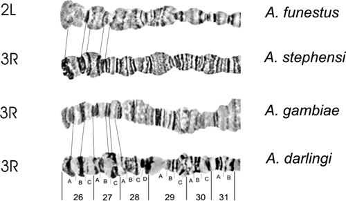 Figure 12.