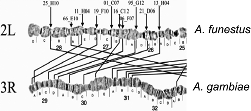 Figure 13.