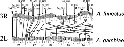 Figure 11.