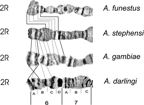 Figure 8.