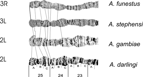 Figure 10.