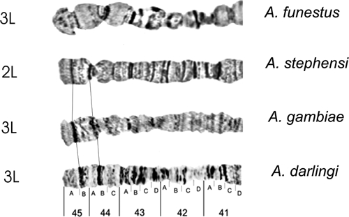 Figure 14.