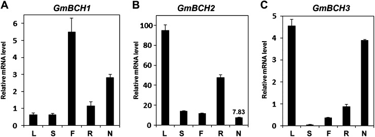 Figure 2.